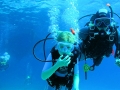 Scuba Diving