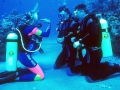 Scuba Diving