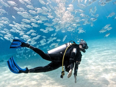 Scuba Diving