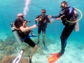 Scuba Diving